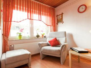 Apartment near the Nurburgring with terrace - Hillesheim - 1