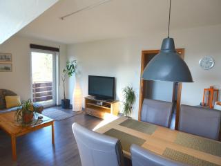 Apartment in the middle of Franconian Switzerland - Kunreuth - 6
