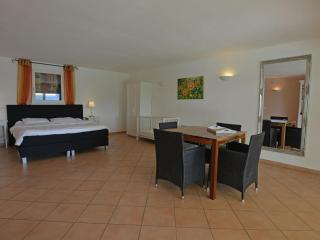 Spacious villa in Vidauban with private pool - Vidauban - 7