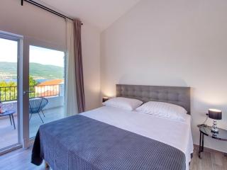 Villa with private pool and garden - Pridraga - 7