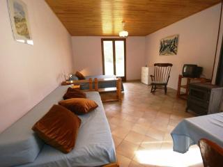 Apartment with mountain views - Lus-la-Croix-Haute - 5
