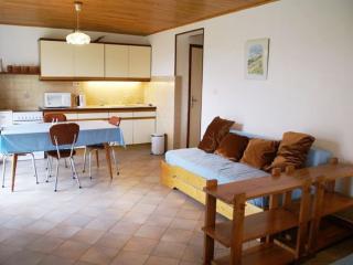 Apartment with mountain views - Lus-la-Croix-Haute - 1