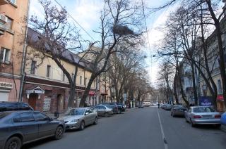 New Life - Odessa - 6