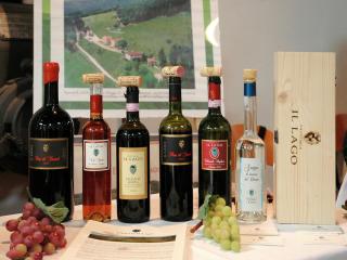 Holiday Home Tuscany with Pool and Vineyard Views - Dicomano - 2