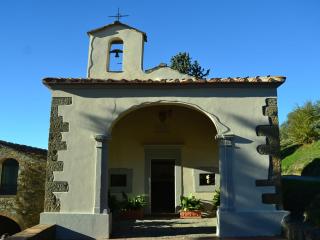 Holiday Home Tuscany with Pool and Vineyard Views - Dicomano - 1