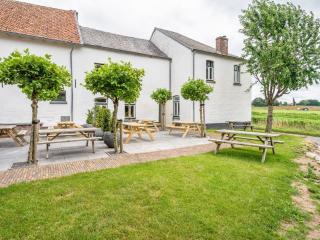 Spacious farmhouse in Limburg near forest - Sint Antoniusbank - 0