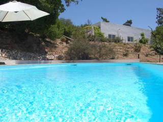 A Perfect villa with pool, terrace and garden - Alcobaça - 0