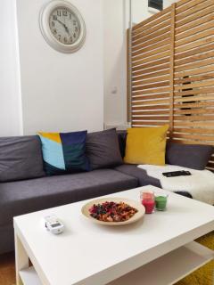 The Best 2-Bedroom Central Belgrade Apt - FREE private Parking - Belgrado - 7