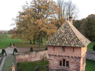 Le Château D'Osthoffen - Osthoffen - 4