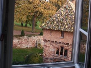 Le Château D'Osthoffen - Osthoffen - 3