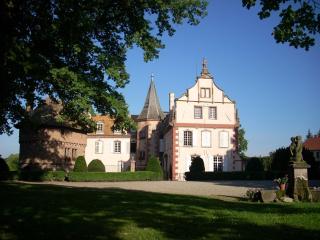 Le Château D'Osthoffen - Osthoffen - 9
