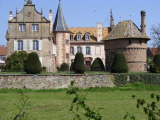 Le Château D'Osthoffen - Osthoffen - 8