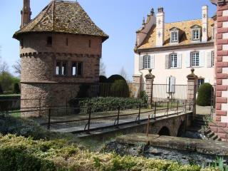 Le Château D'Osthoffen - Osthoffen - 7