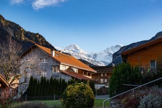 Swiss Holiday House - Wilderswil - 9