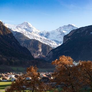 Swiss Holiday House - Wilderswil - 8