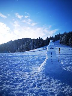 Apartmajsko naselje Ribniško Pohorje - 6