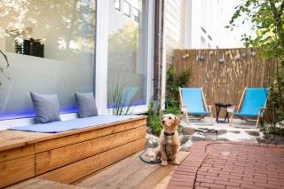 SOVA Guesthouse - Kassel - 5