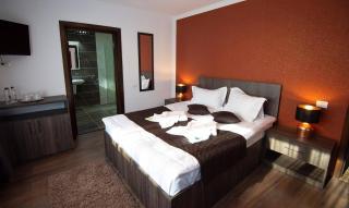 Casa Raisa - Buşteni - 9
