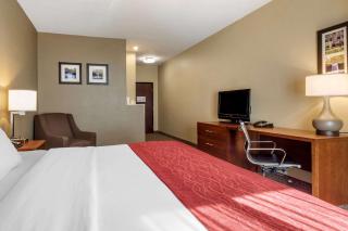 Comfort Inn & Suites Russellville I-40 - 4