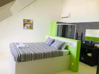 Timoon apartment - Saint Martin - 5