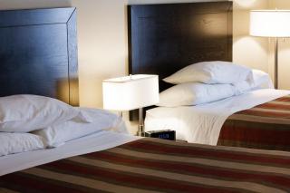 Atlantic Host Hotel, Trademark Collection by Wyndham - Bathurst - 9