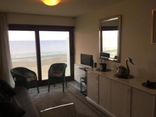 Prachtige studio met frontaal zeezicht en terras 4 pers. - Ostende - 2