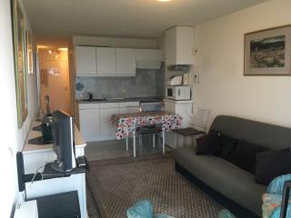Prachtige studio met frontaal zeezicht en terras 4 pers. - Ostende - 7
