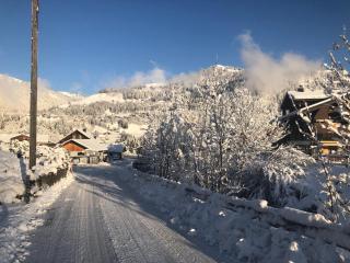 Lovell Camps - Mountain Lodge - Gstaad - 7
