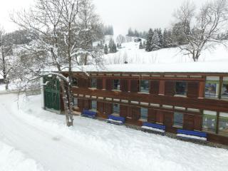 Lovell Camps - Mountain Lodge - Gstaad - 8