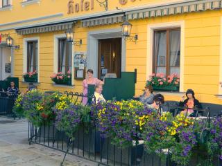 Hotel-Garni Goldenes Kreuz - Grein - 5