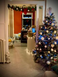Hotel Nice - Viareggio - 5