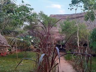 Gecko Nature Lodge Home of Swahili Divers the BEST dive center and Famous Gecko Restaurant - Verani - 8
