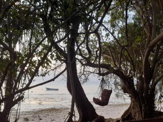 Gecko Nature Lodge Home of Swahili Divers the BEST dive center and Famous Gecko Restaurant - Verani - 6