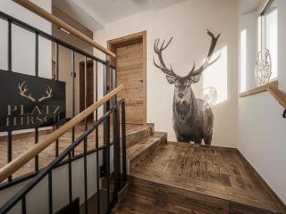 Platzhirsch Apart & Mayrhofen - 2