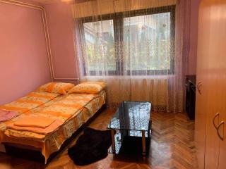 Kuca za odmor Simic - Vrnjačka Banja - 9