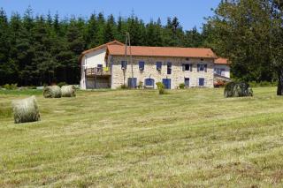 Auberge des Myrtilles - Saint-Bonnet-le-Froid - 7