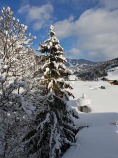 Familien- & Gartenhotel Theresia 4-Sterne Superior - Saalbach-Hinterglemm - 9