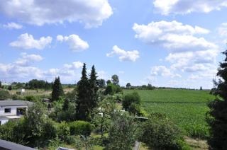 Super zentral und dennoch idyllisch und erholsam - Dreieich - 5