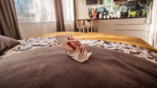 GottwaldHaus - Apartment - Brand-Erbisdorf - 7