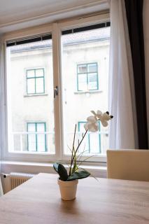 Central living - Stephansdom Apartments - Vienne - 1