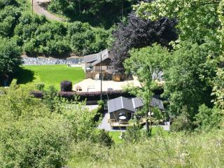 Chalet near Durbuy and Ourthe Valley - Vieuxville - 4