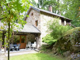 Cottage in Ardennes near Hiking Trails - Harre - 0