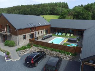Villa in Manhay with Private Pool - Manhay - 1