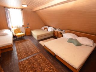 Detached holiday home with 5 bedrooms and billiards in northern Bohemia - Krásná Lípa - 2