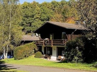 Attractive chalet with fireplace - Schönecken - 0