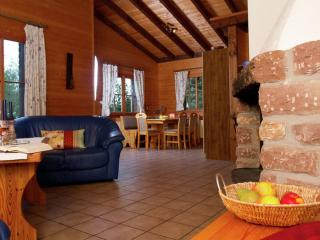Attractive chalet with fireplace - Schönecken - 7