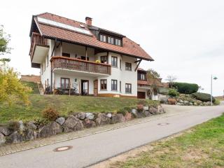 Apartment on the edge of the forest - Kleines Wiesental - 0