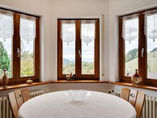 Apartment on the edge of the forest - Kleines Wiesental - 2