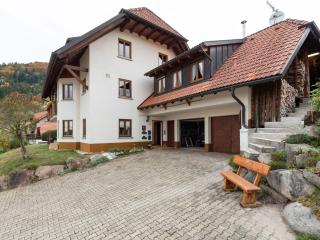 Apartment on the edge of the forest - Kleines Wiesental - 1