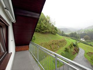Apartment with garden - Bad Peterstal - 4